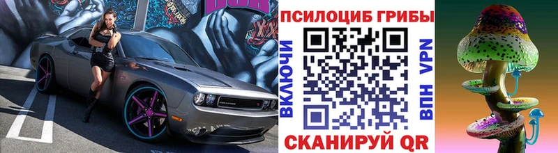 shop Telegram  Балахна  Галлюциногенные грибы Magic Shrooms  дарнет шоп 